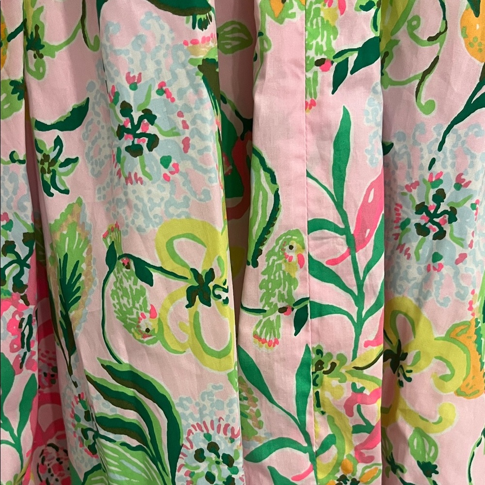 Lilly Pulitzer Knoxlie Elbow Sleeve Dress - Picture 4 of 10